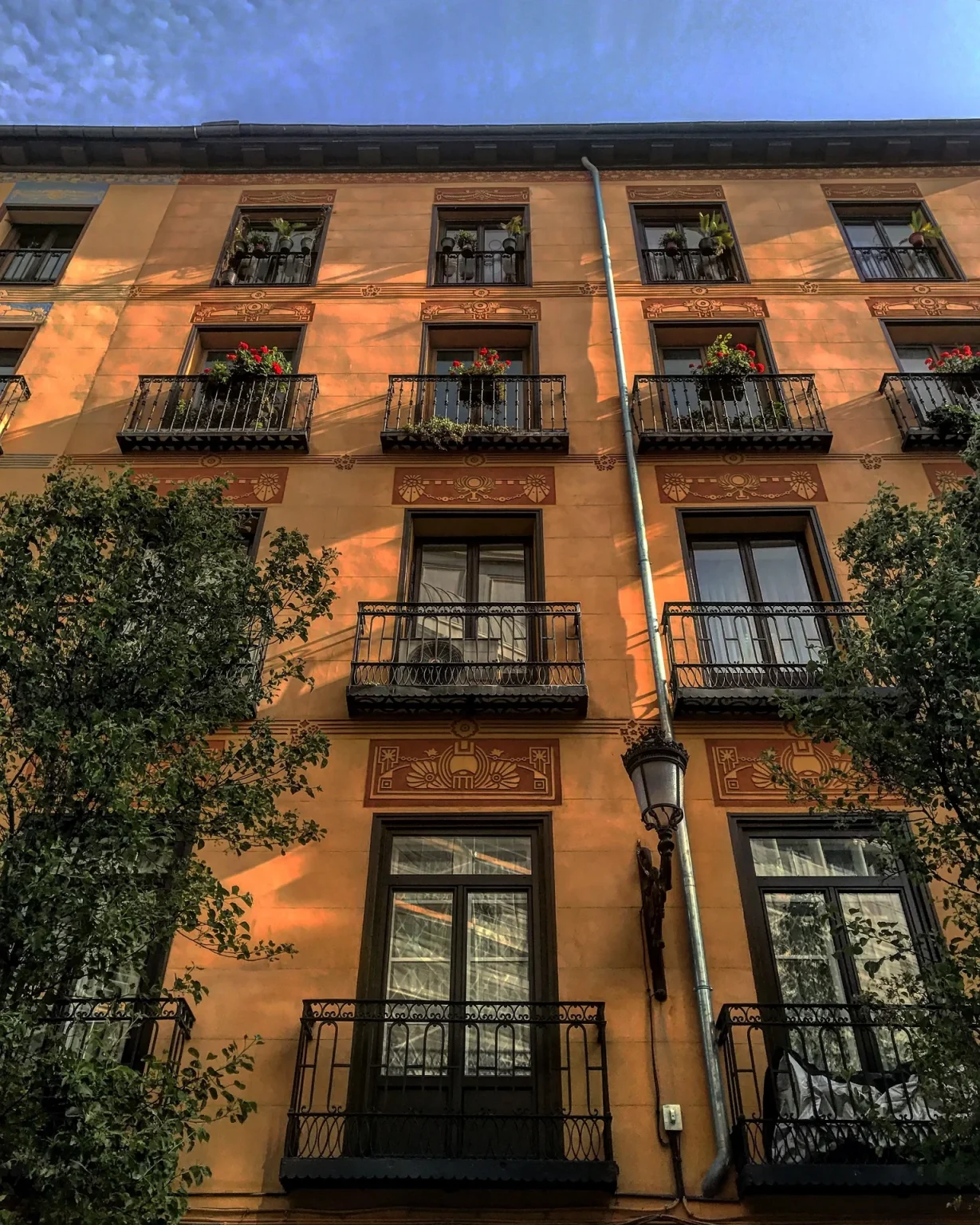 Inmobiliaria en Malasaña