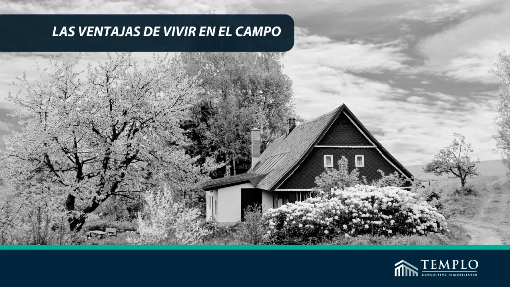 Imagen de un paisaje rural con una casa de campo rodeada de árboles y campos verdes bajo un cielo azul claro.