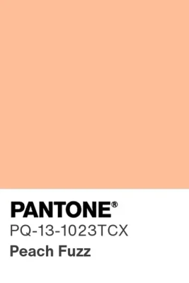Color del 2024 