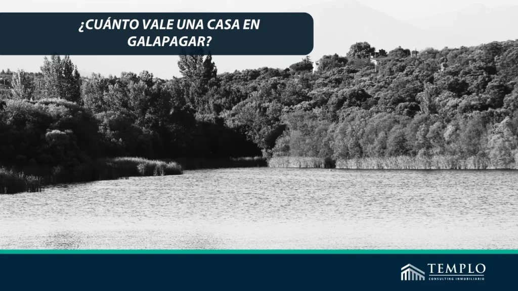 Imagen del lago cerca de las casas en Galapagar.