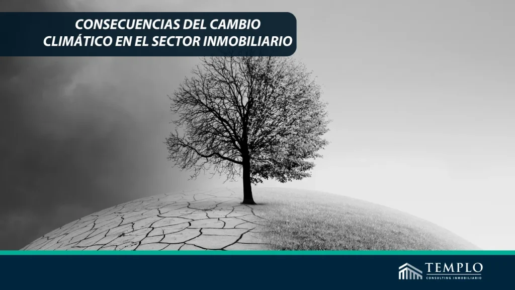 La adaptación al cambio climático se vuelve cada vez más importante en el sector inmobiliario.