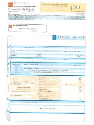 Modelo del 601 2024